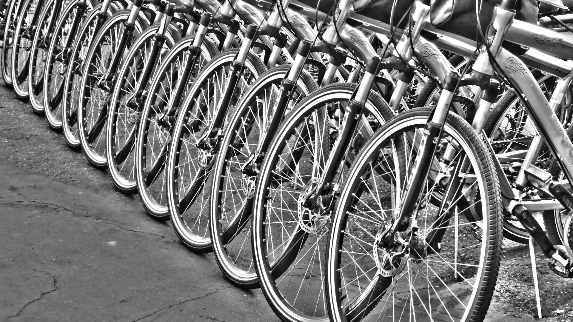 row-of-bicycles